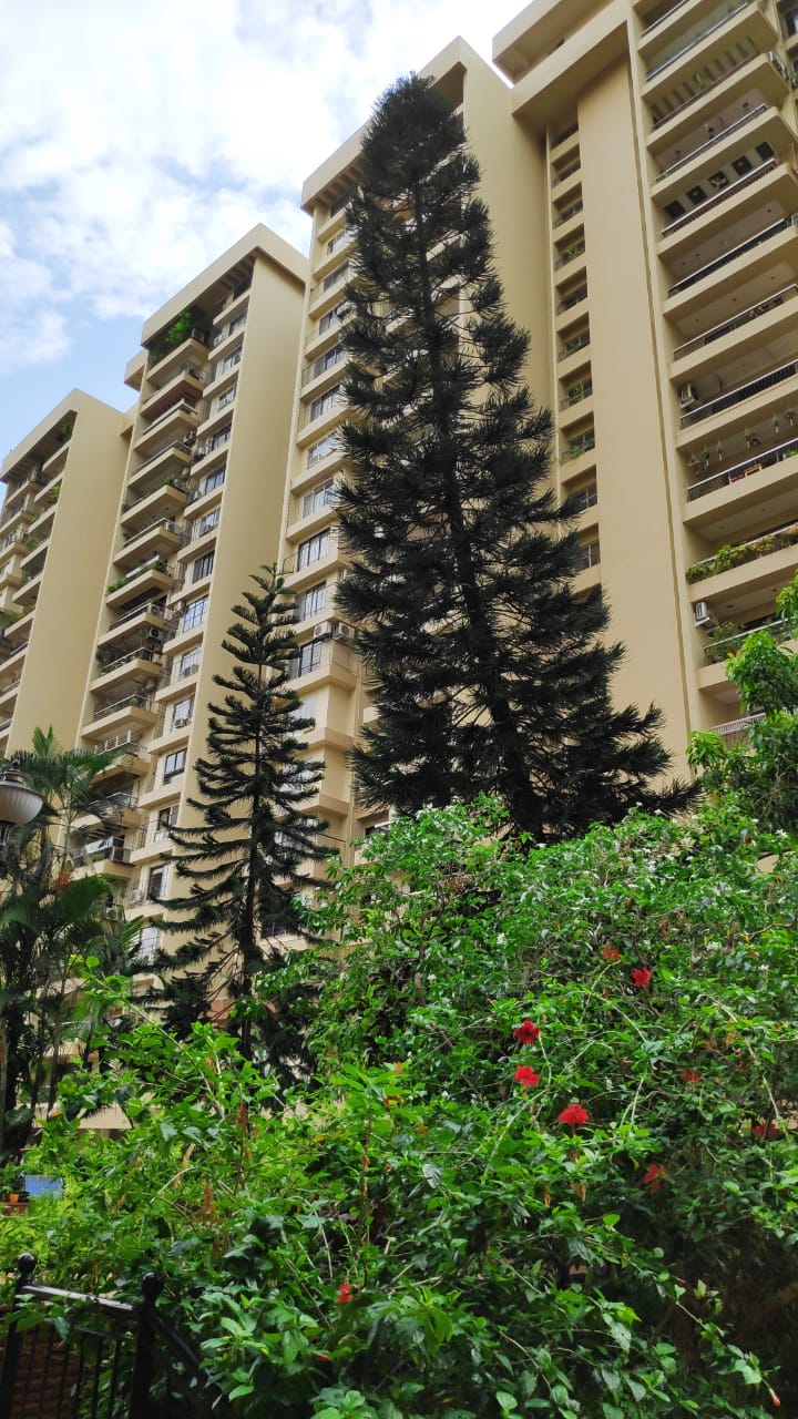 Building - Green Acres, Andheri West